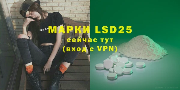 дживик Надым