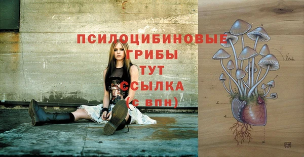 молекула духа Михайловка