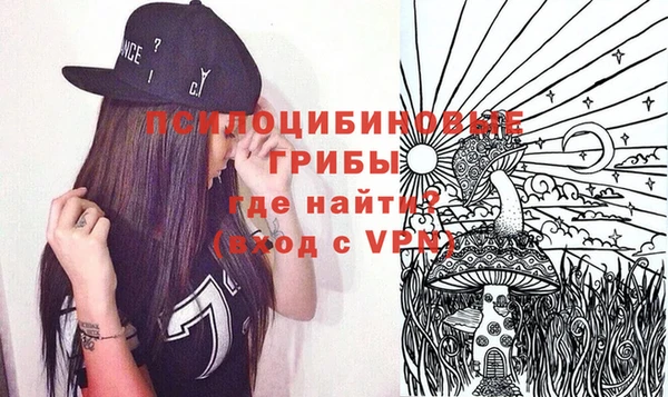 дживик Надым