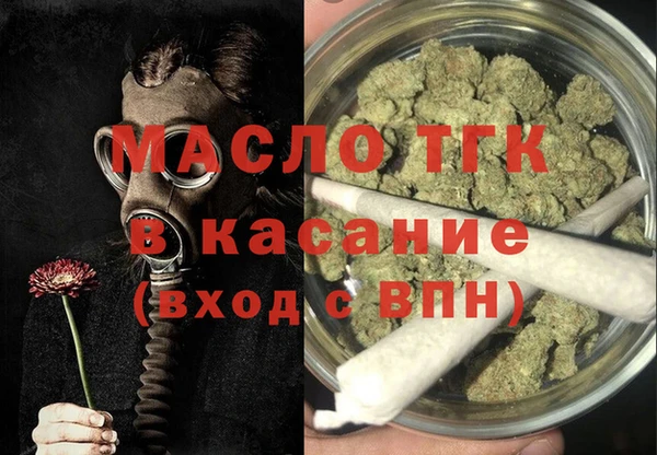 дживик Надым