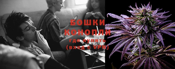 дживик Надым