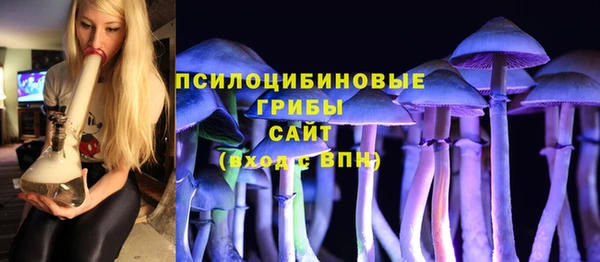 дживик Надым