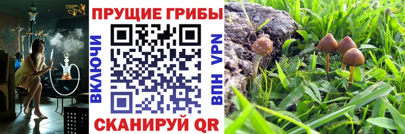 Галлюциногенные грибы Psilocybe  ОМГ ОМГ как войти  Лысково 