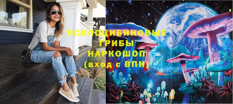 Псилоцибиновые грибы MAGIC MUSHROOMS  где купить наркоту  Лысково 